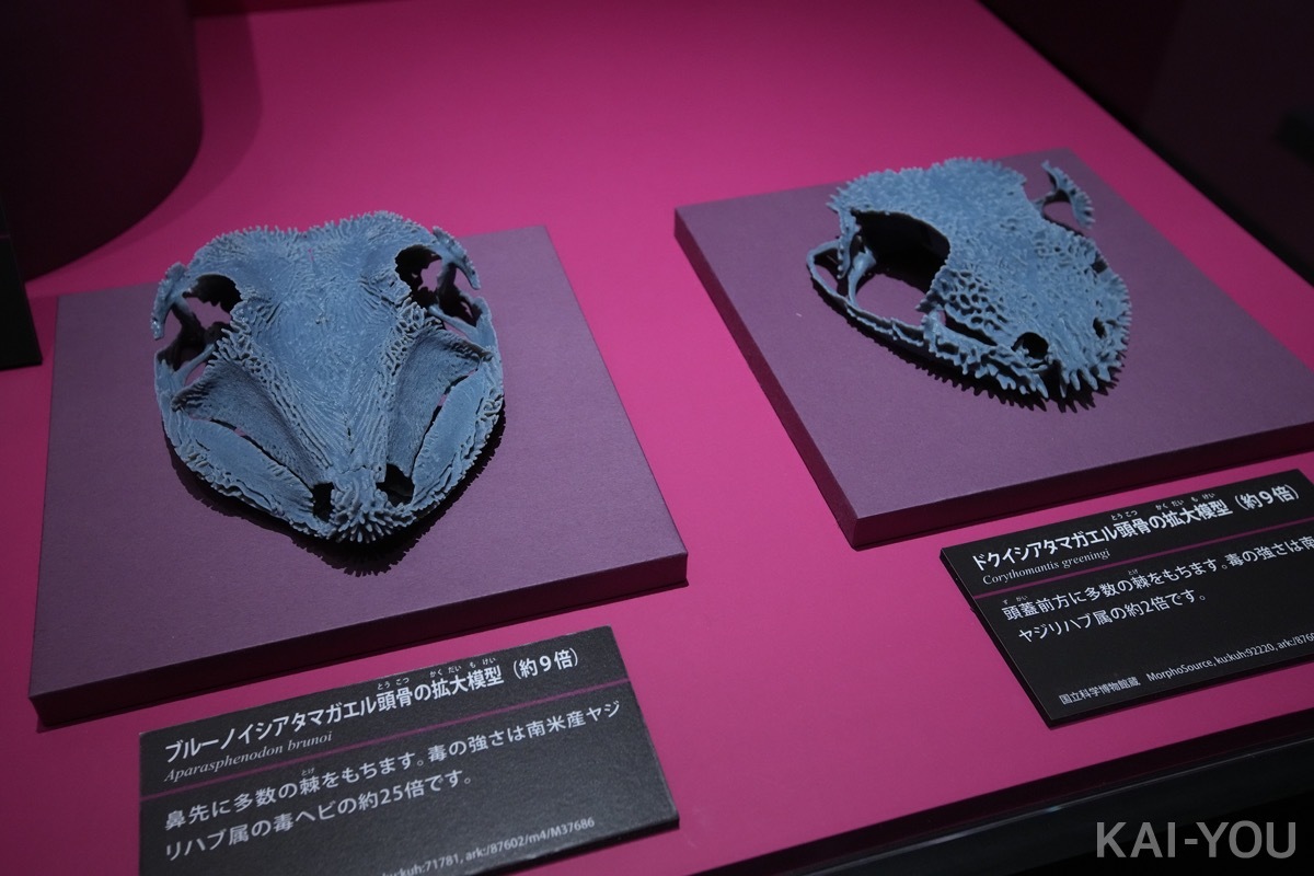 画像9: 特別展「毒」レポート漫画　“あらゆる物質は毒”──毒と人間の付き合い方