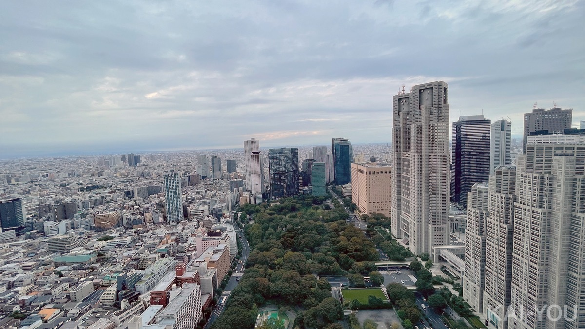 富士葵「パーク ハイアット 東京 ピーク ラウンジ」フォトレポート-[5]