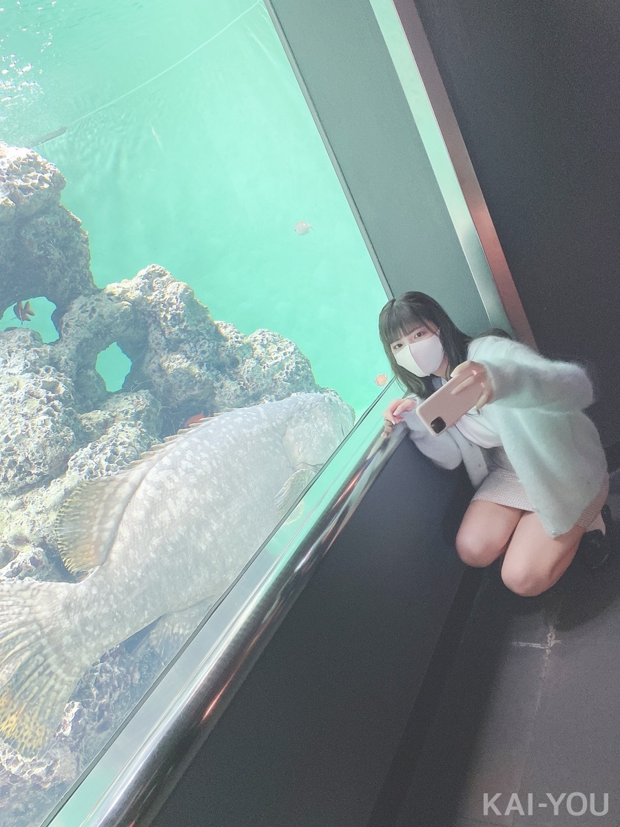 セクシー女優　根尾あかりさんと二葉エマさん