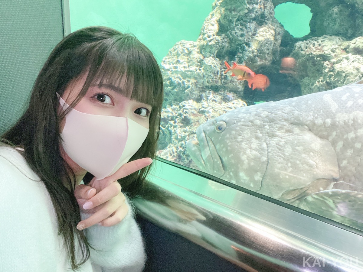 セクシー女優　根尾あかりさんと二葉エマさん