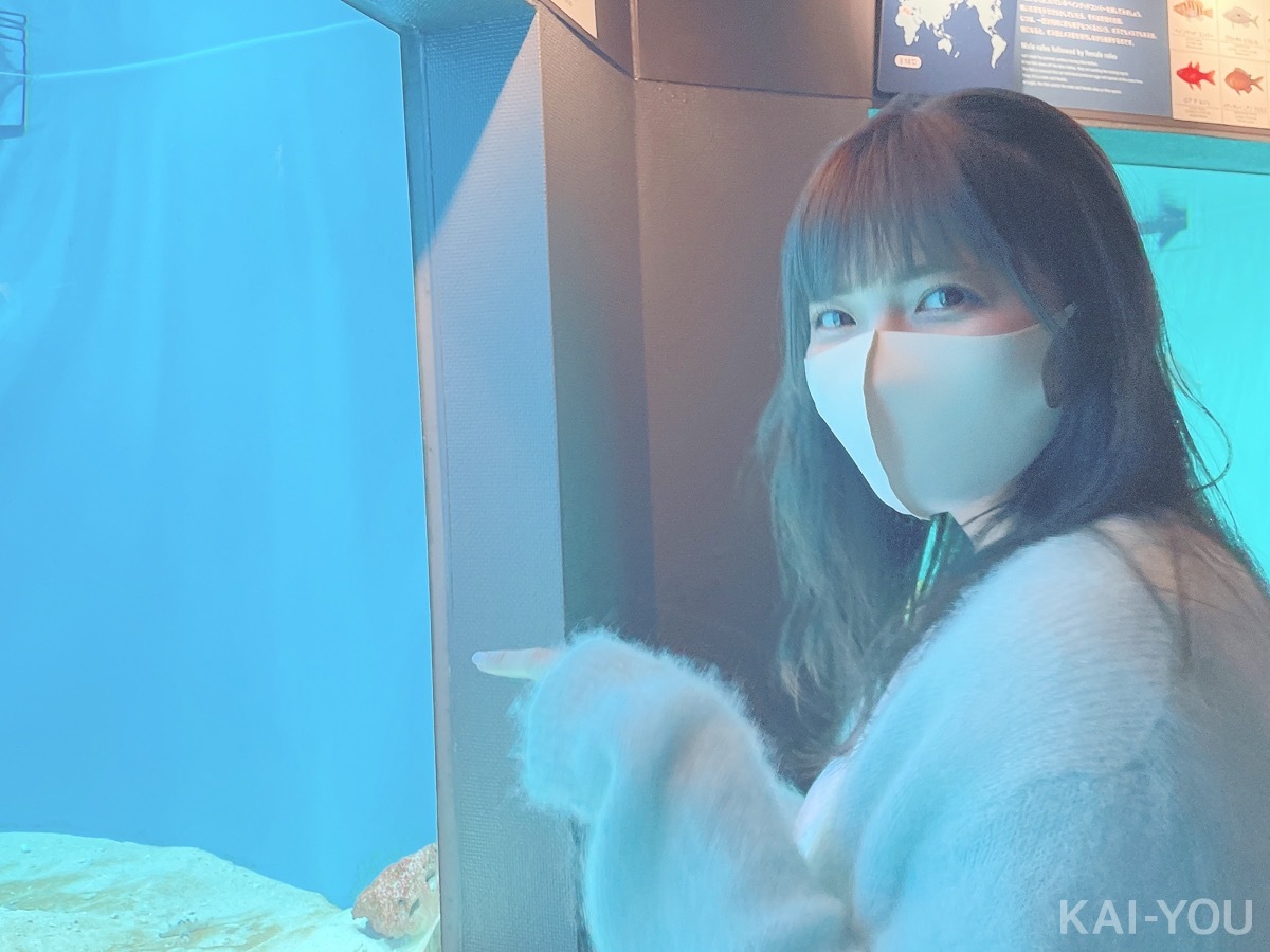 セクシー女優　根尾あかりさんと二葉エマさん