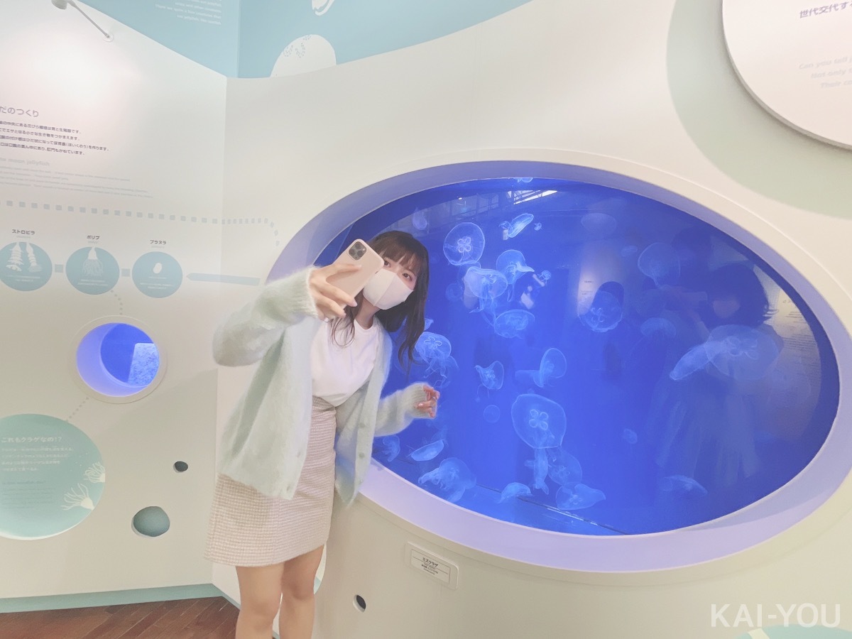 セクシー女優　根尾あかりさんと二葉エマさん