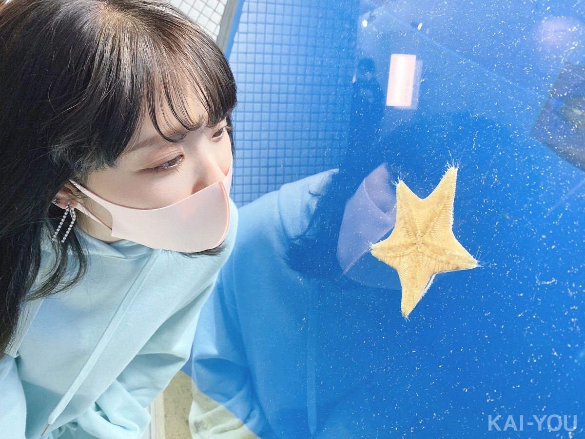 セクシー女優　根尾あかりさんと二葉エマさん