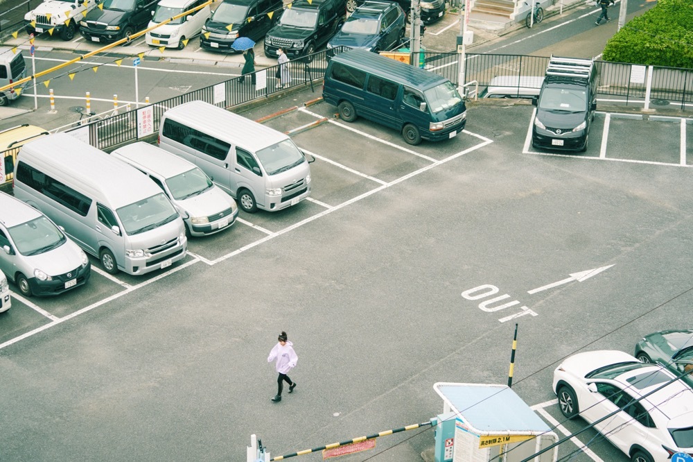 桜もこさんフォトレポート