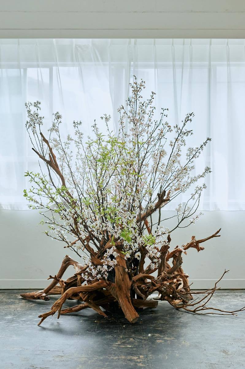 安位カヲルさん