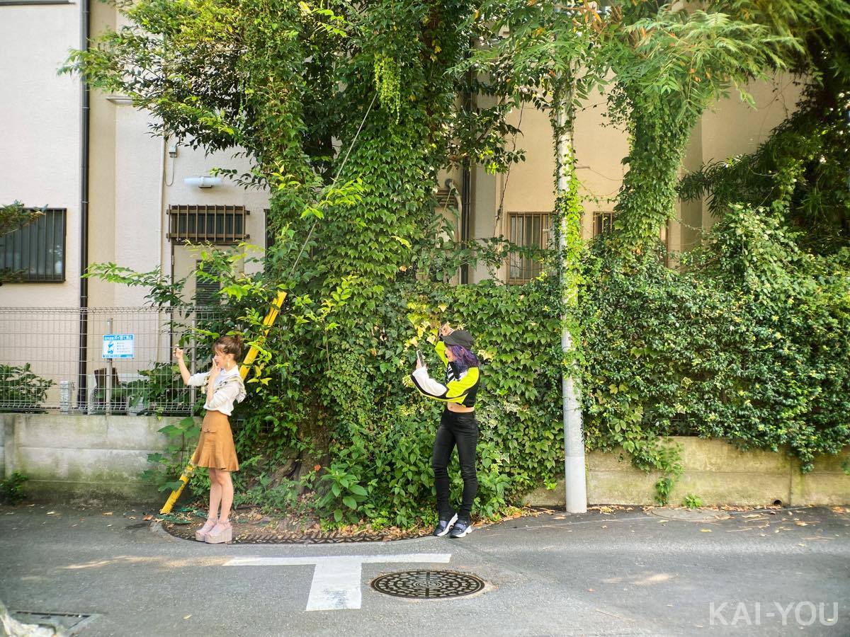 セクシー女優　渚みつきさんと永瀬ゆいさん