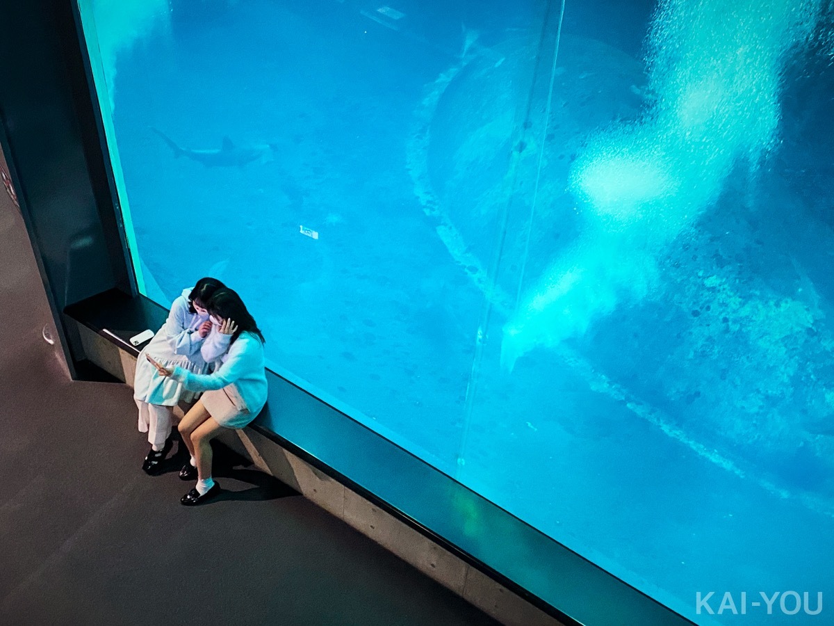 セクシー女優　根尾あかりさんと二葉エマさん