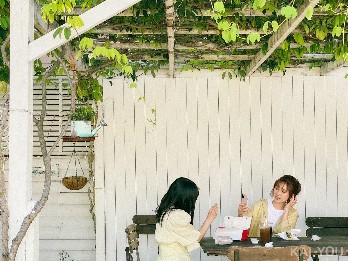 セクシー女優　小島みなみさんと羽咲みはるさん