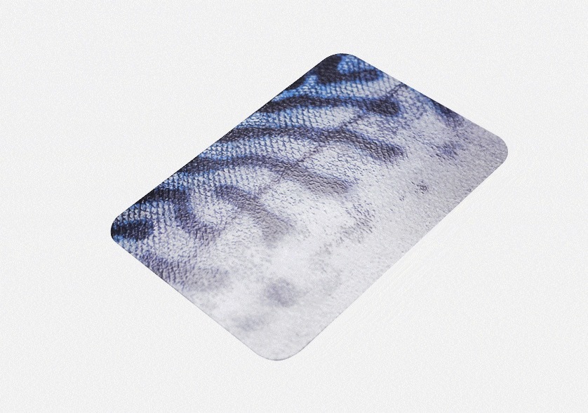 画像2: 宝石みたいな「さかなかるた」 本物さながらの質感から魚を当てよう！