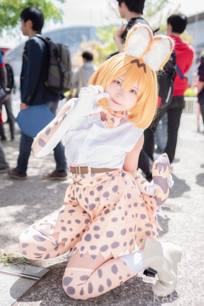 やよっぺさん/『けものフレンズ』サーバル_1