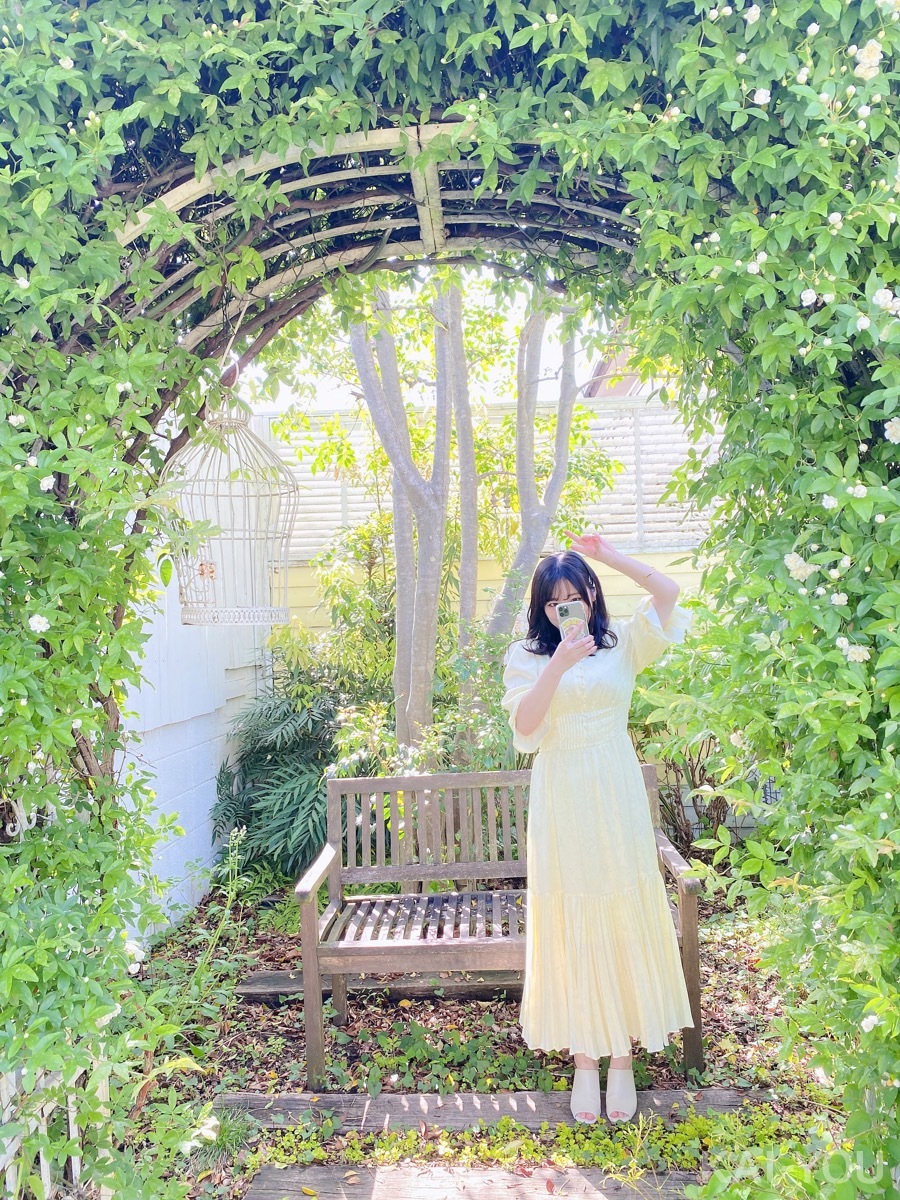 セクシー女優　小島みなみさんと羽咲みはるさん