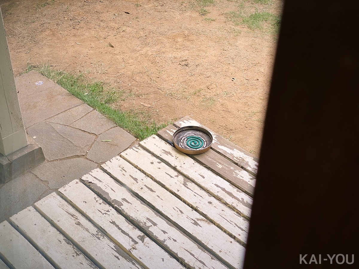 ひなたまりんさんと久留木玲さん