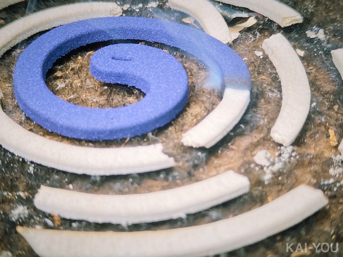 ひなたまりんさんと久留木玲さん