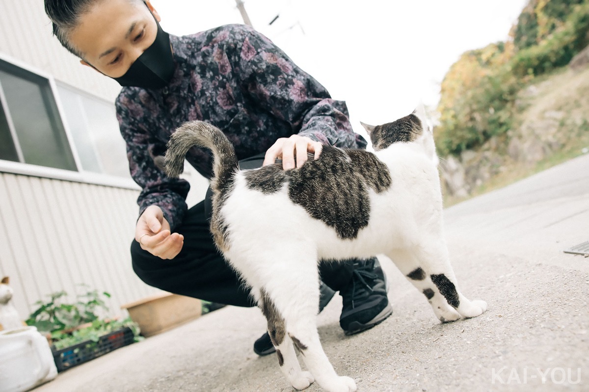 猫がいた