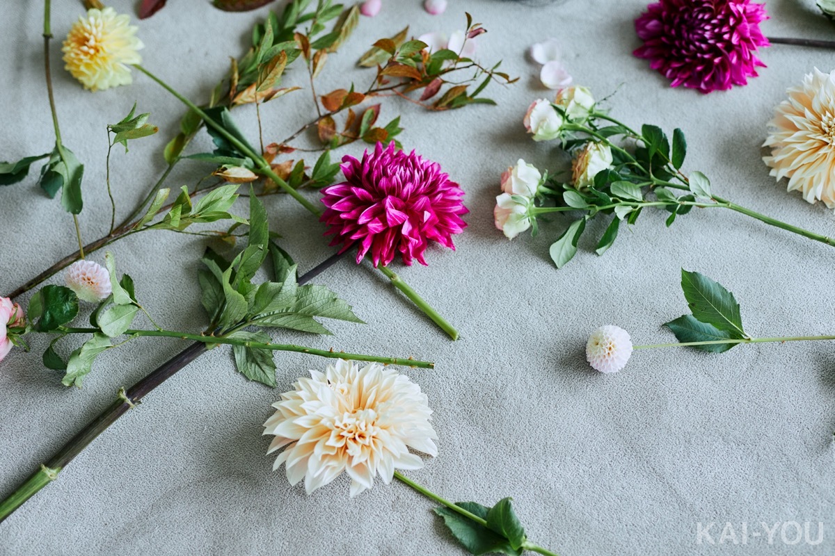 セクシー女優　架乃ゆらさん フォトレポート