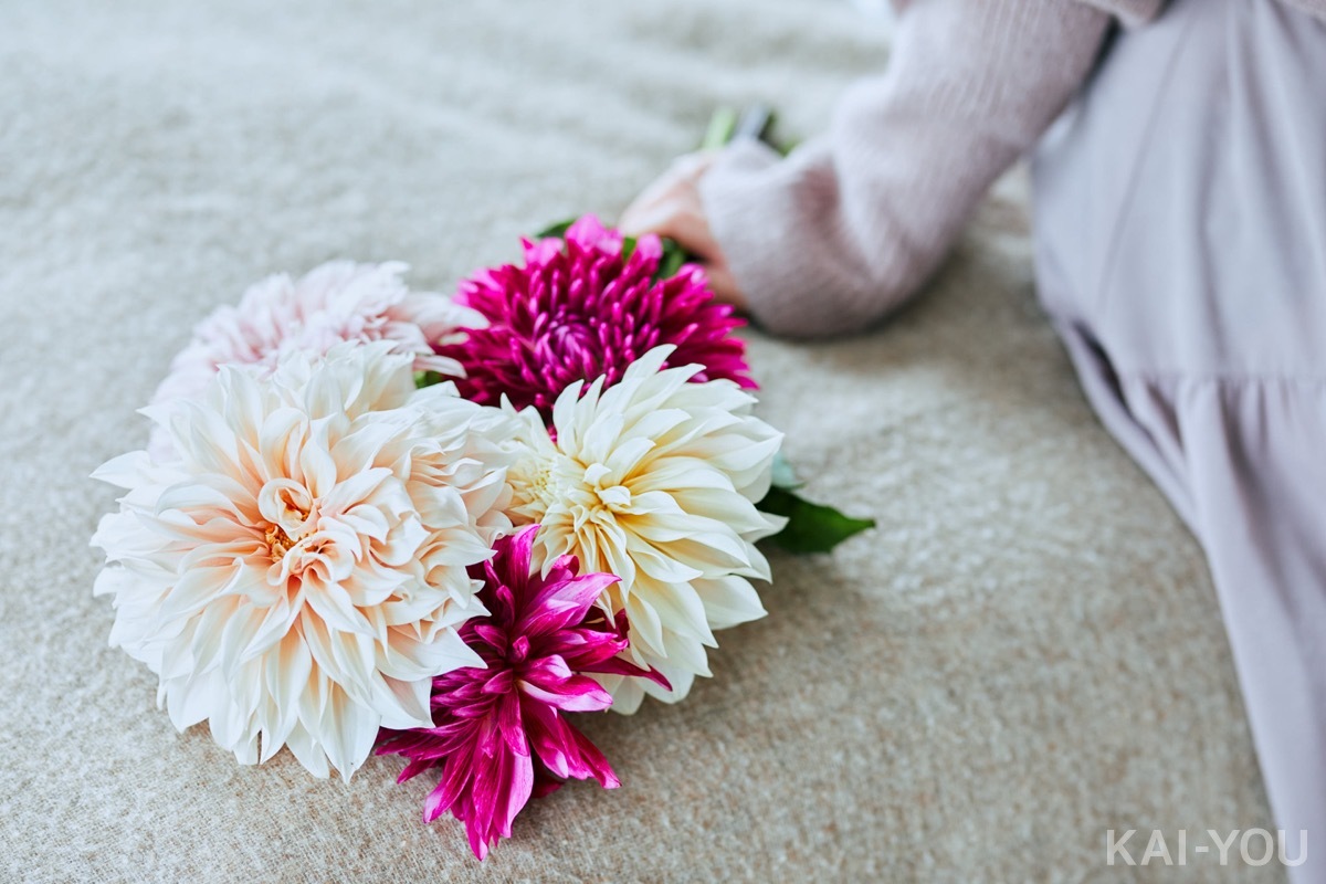 セクシー女優　架乃ゆらさん フォトレポート