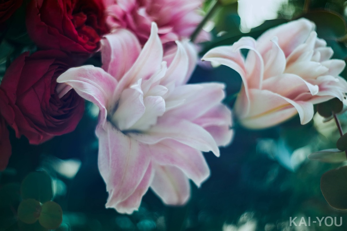 セクシー女優 河北彩花さん