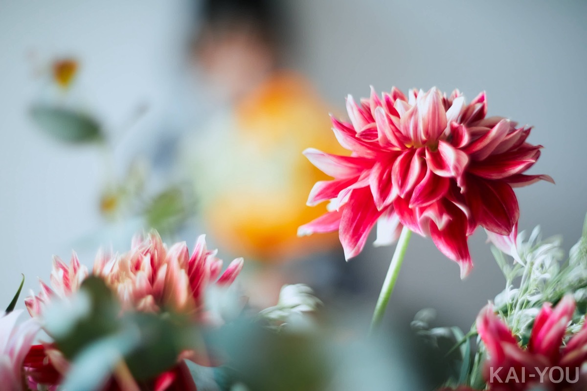 セクシー女優 河北彩花さん