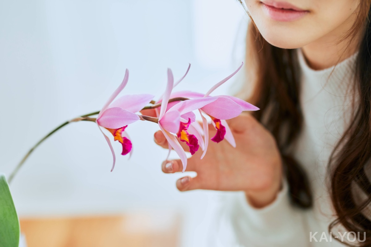 セクシー女優　相沢みなみさん
