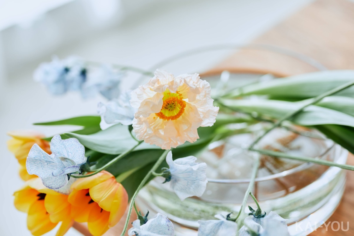 セクシー女優　相沢みなみさん