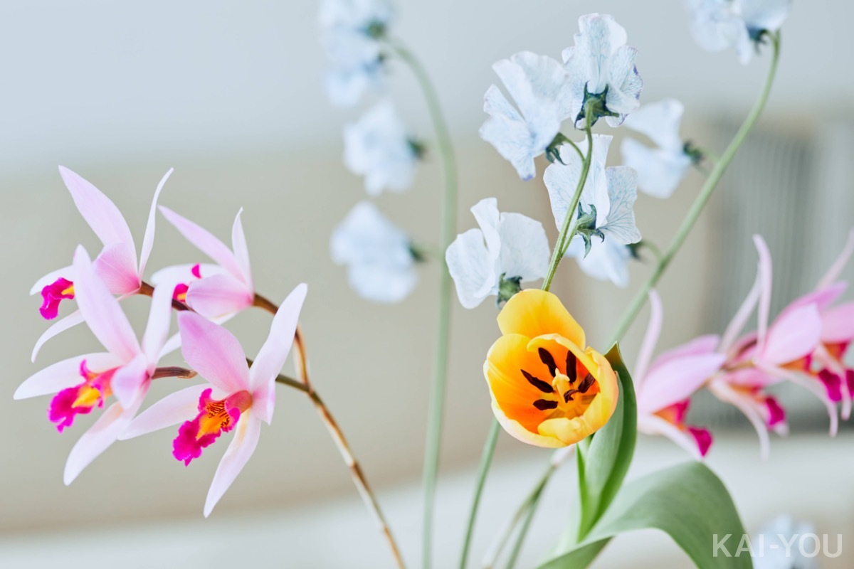 セクシー女優　相沢みなみさん