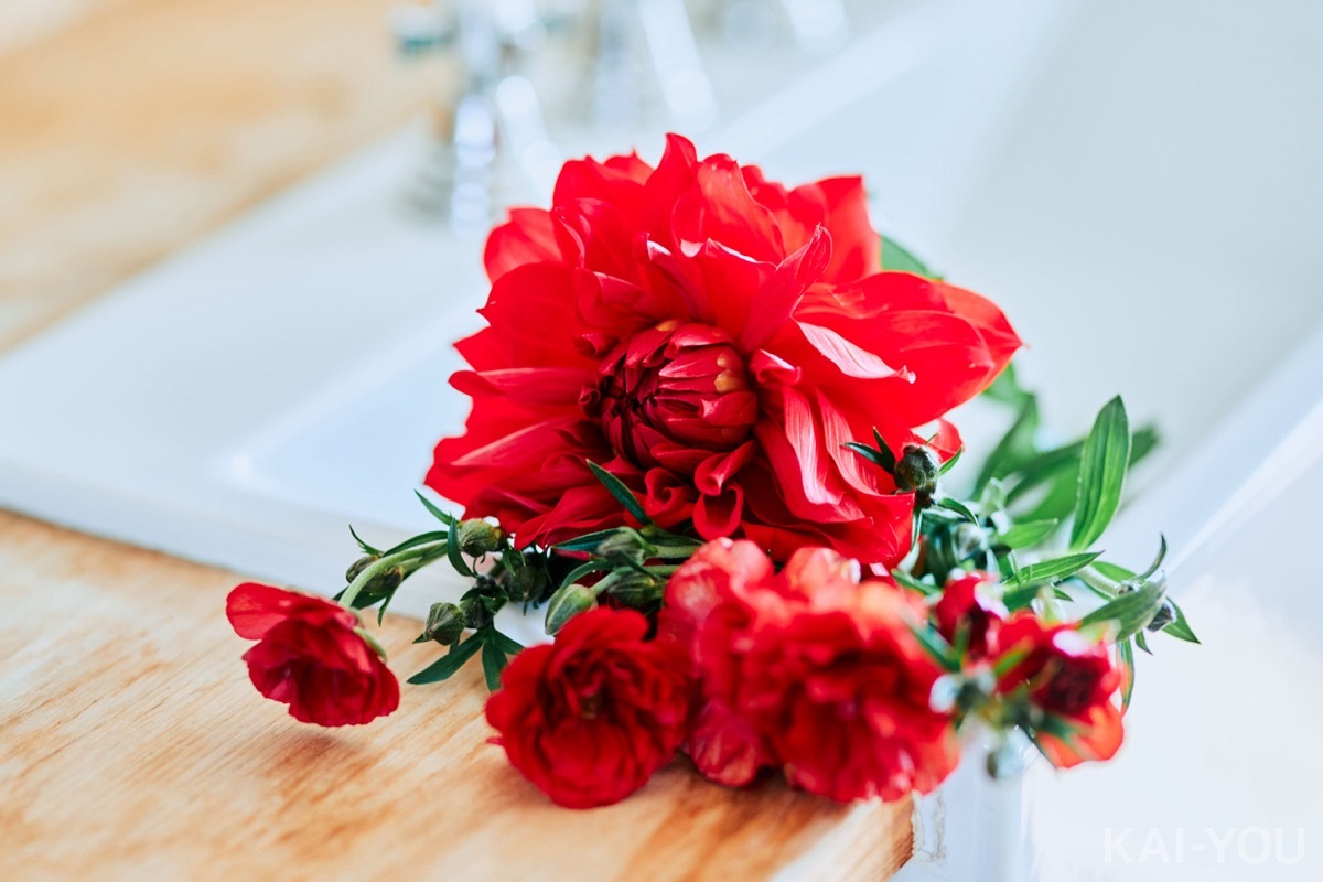 セクシー女優　美谷朱里さん