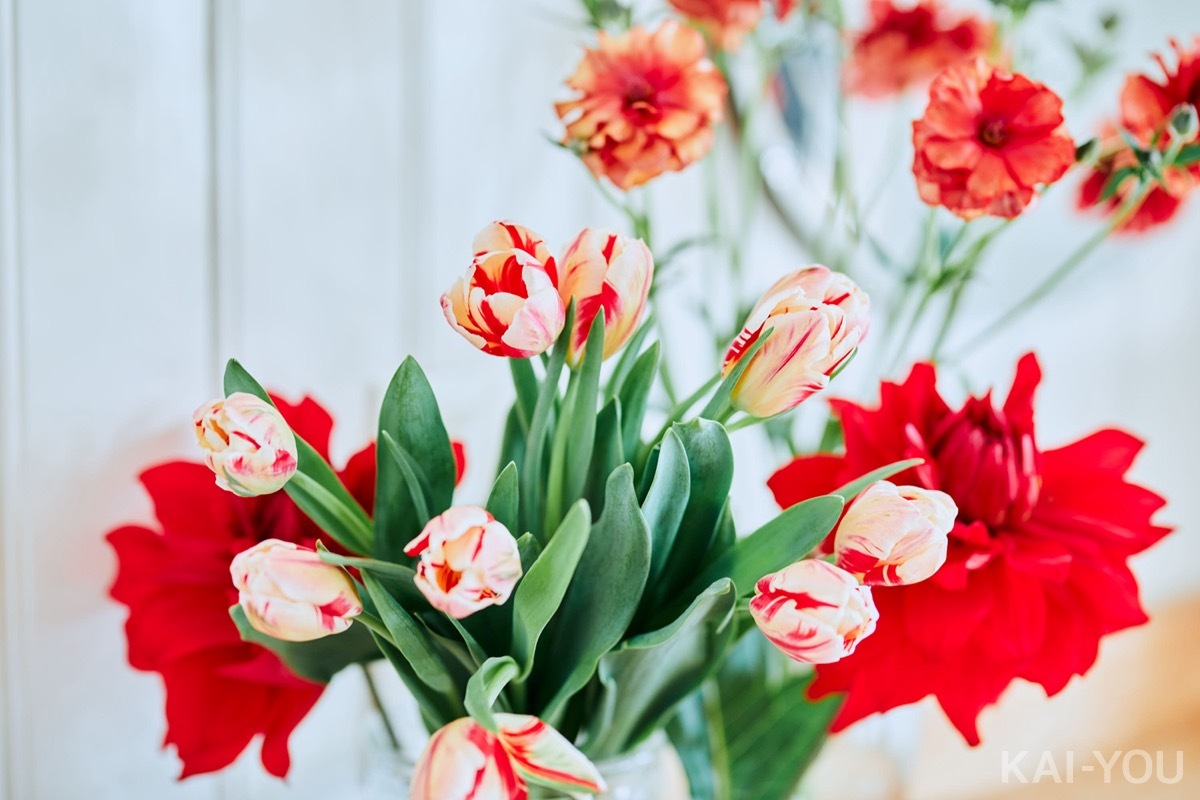 セクシー女優　美谷朱里さん