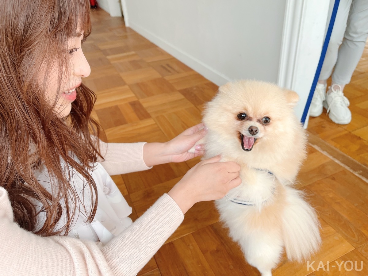 セクシー女優　深田えいみさんと桜もこさん