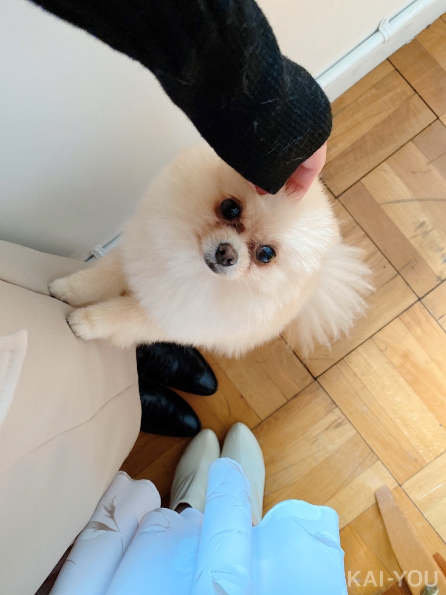 セクシー女優　深田えいみさんと桜もこさん