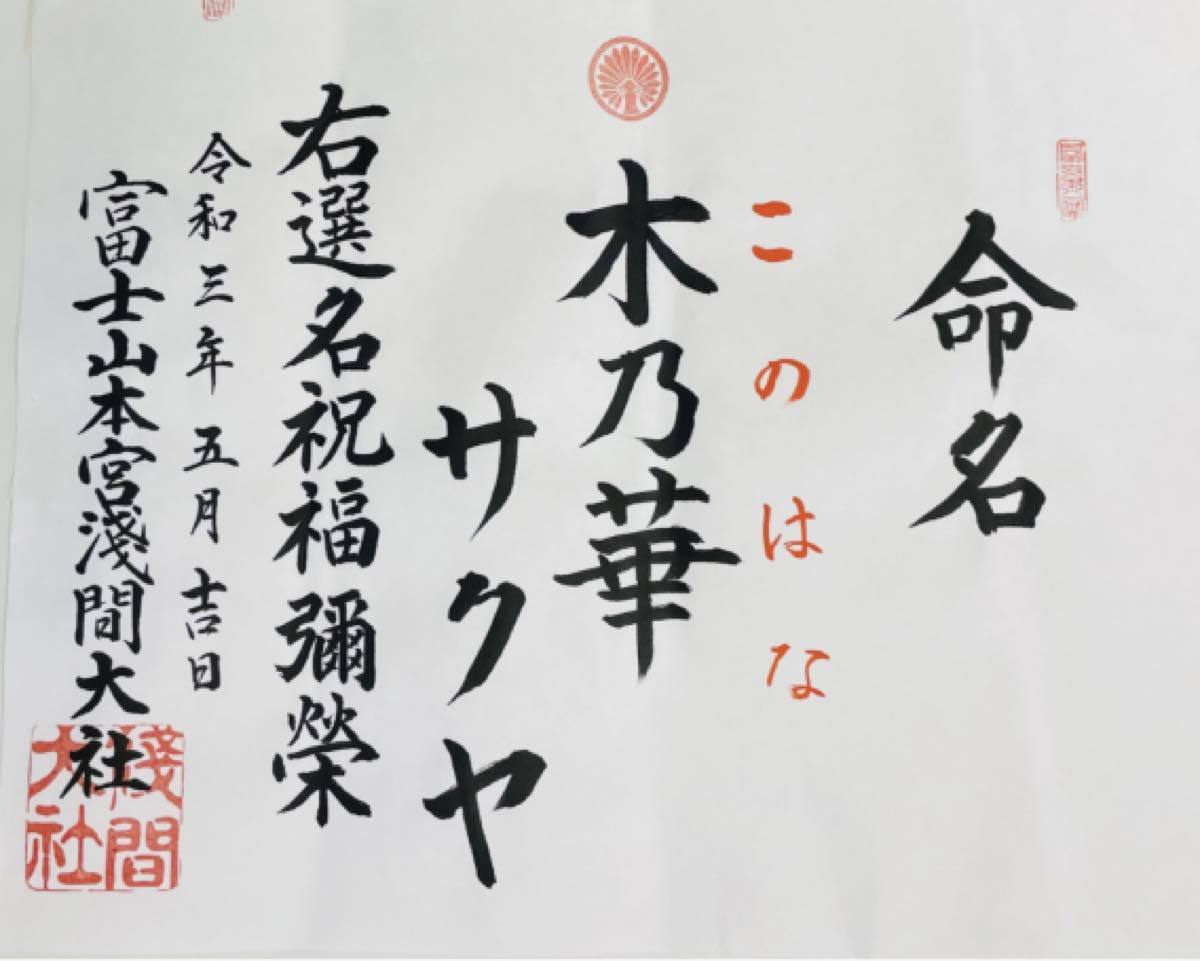 木乃華サクヤ