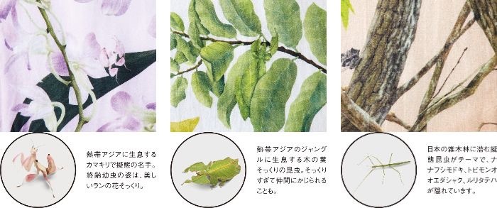 擬態昆虫ハンカチ