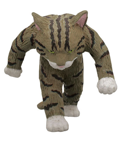 たくましい猫