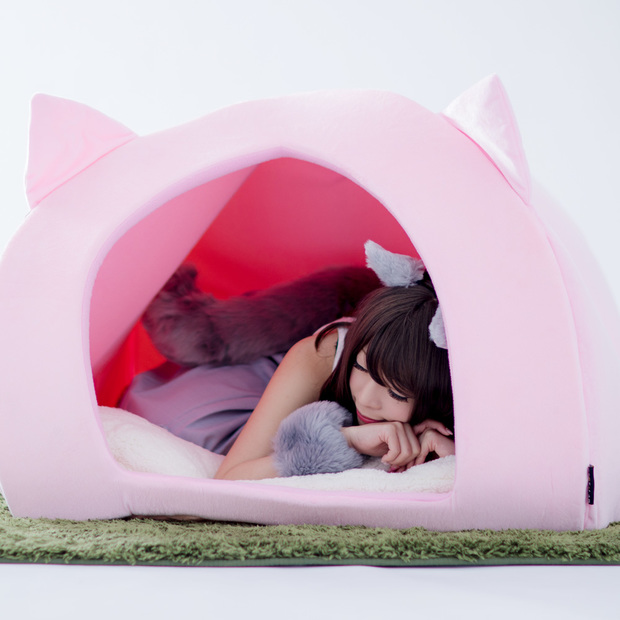 人間用ペットハウス(モデルは宮本彩希さん)だニャンニャンニャンニャン