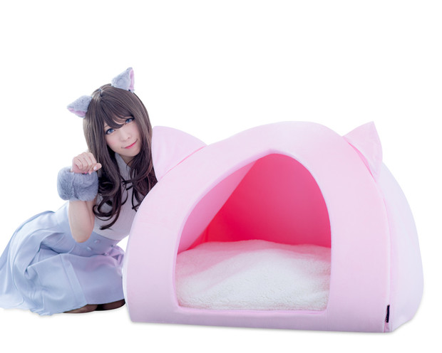 人間用ペットハウス(モデルは宮本彩希さん)だニャン