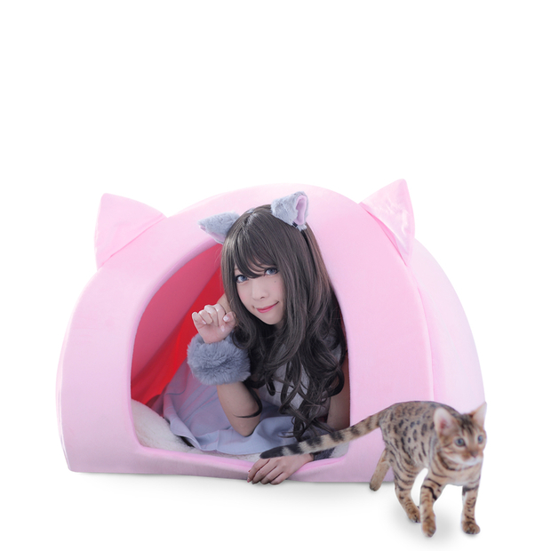 ネコになっちゃった!