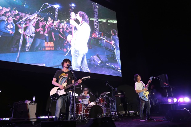 the pillows