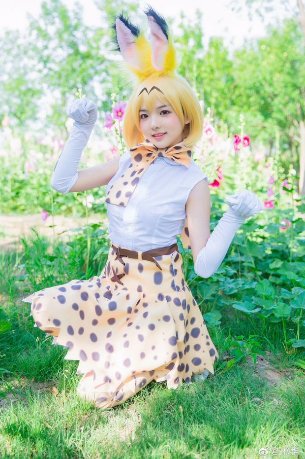 さくらさん/『けものフレンズ』サーバル