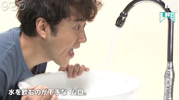 ムロ癒やし