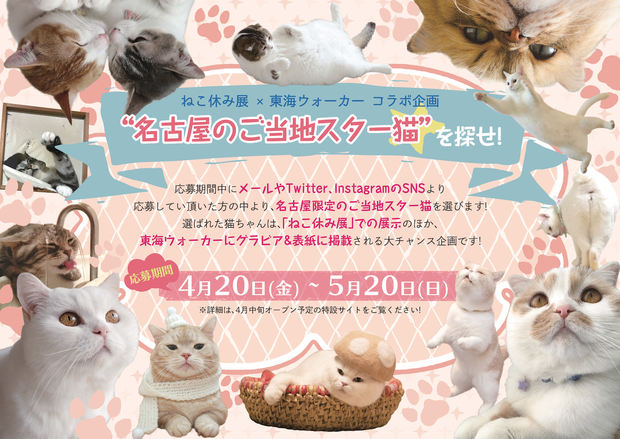 ねこ休み展 春 2018