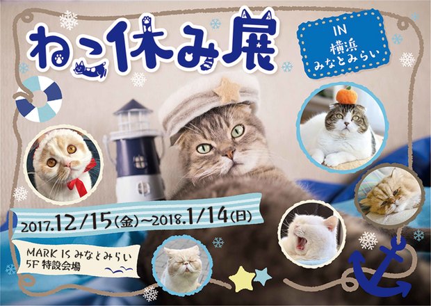ねこ休み展in横浜