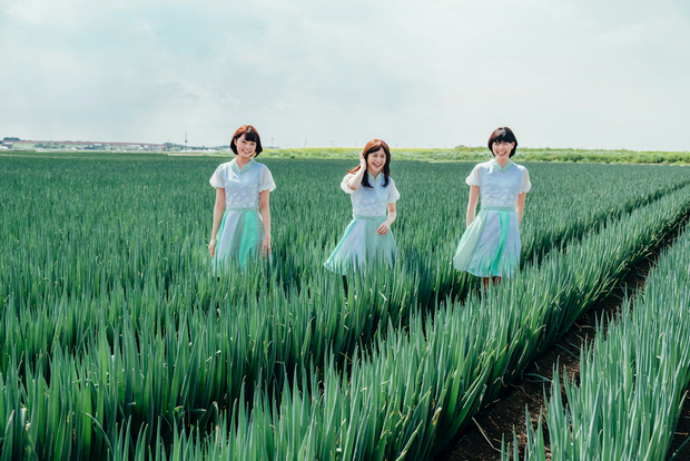 Negicco