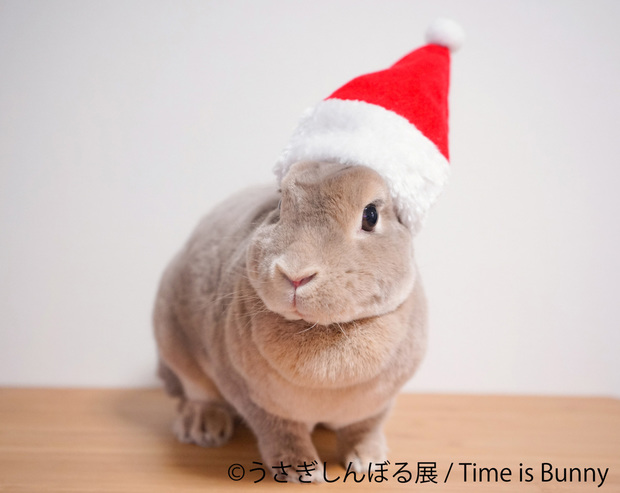 Time is Bunny