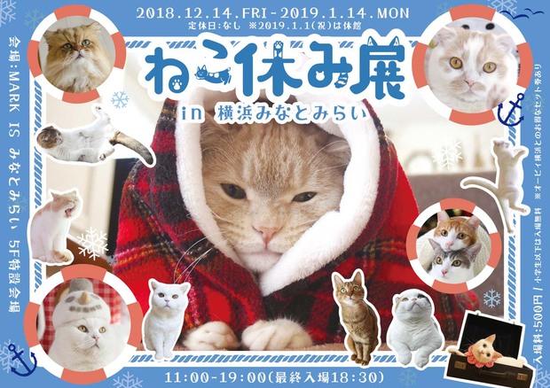 「ねこ休み展 in 横浜みなとみらい」