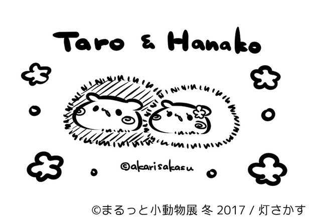 まるっと小動物展 冬 2017