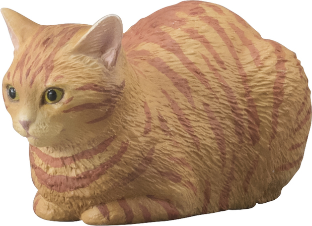 ねこ 茶トラ