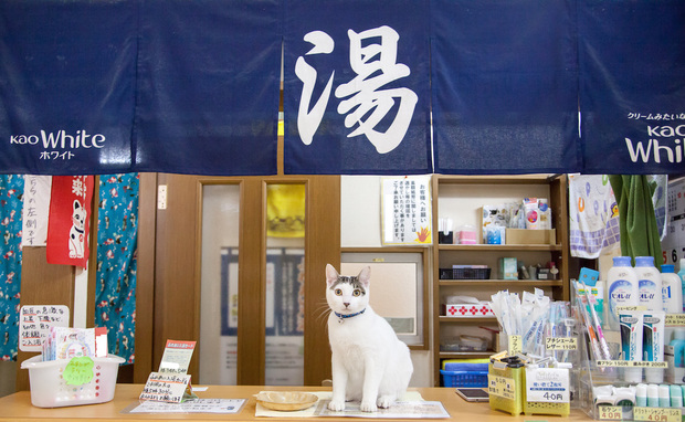 『週刊大衆』-3