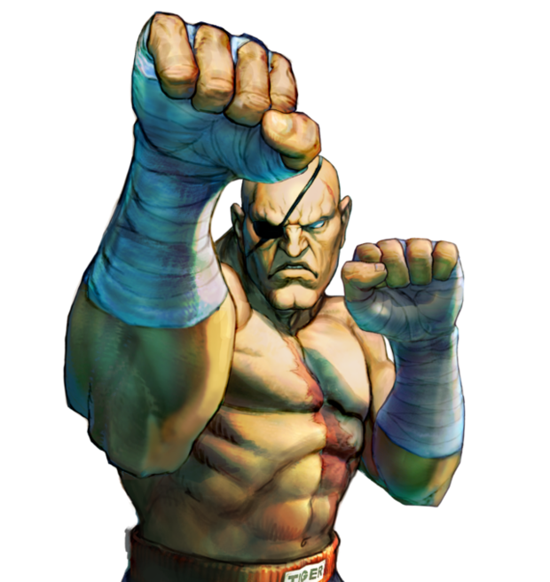 12 saga×streetfighter2 sagat