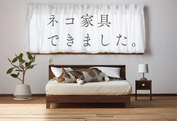 ネコ家具