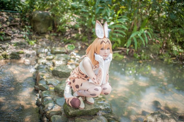 霜月さん/『けものフレンズ』サーバル