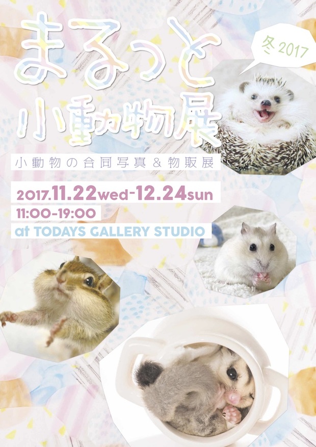 まるっと小動物展 冬 2017